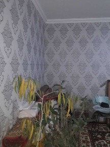 Ташкентская область, Келес