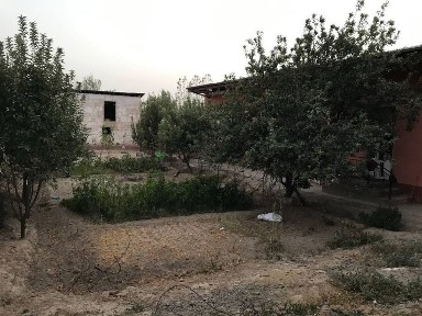 Самаркандская область, Самарканд