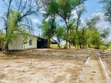 Хорезмская область, Шават