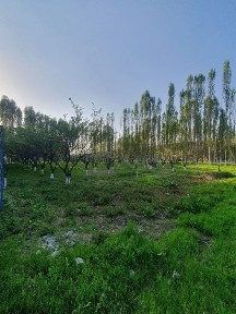 Ташкентская область, Ташкент, Яккасарайский район