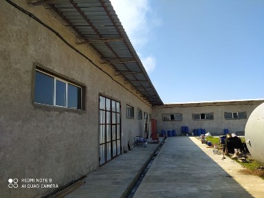 Ташкентская область, Коксарай