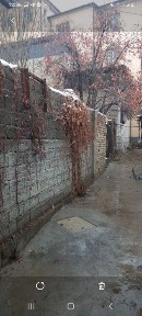 Ташкентская область, Ташкент, Мирзо-Улугбекский район