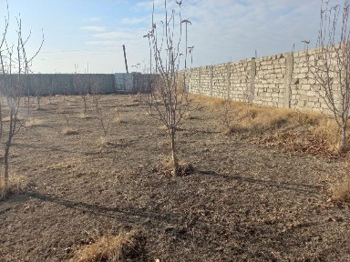 Бухарская область, Шафиркан