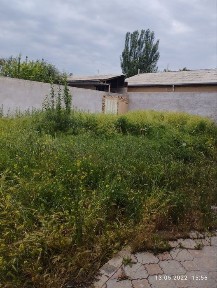 Ташкентская область, Келес