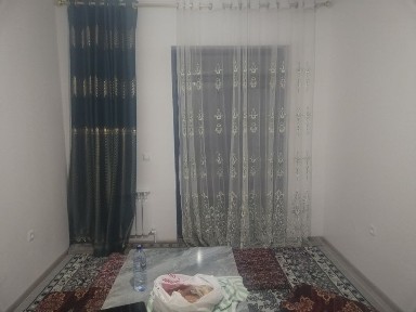 Ташкентская область, Зангиата