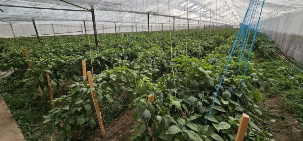 Кашкадарьинская область, Бешкент