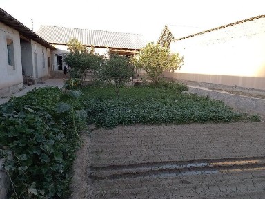 Hovli 8 sotix Navoiyda