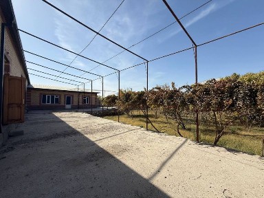 Бухарская область, Бухара