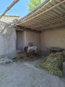 Бухарская область, Караулбазар