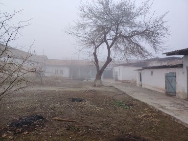 Кашкадарьинская область, Карши