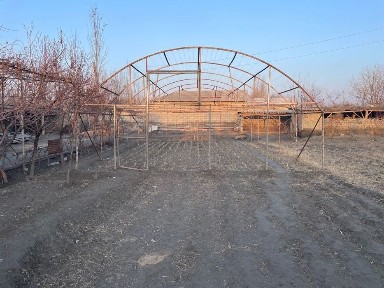 Ферганская область, Дангара