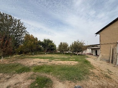 Ташкентская область, Назарбек