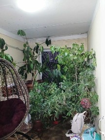 Kvartira dom srochno sotiladi! Kitob