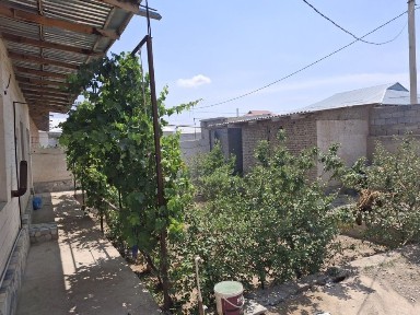 Навоийская область, Навои