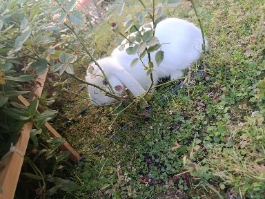 Ташкентская область, Ташкент, Яшнабадский район