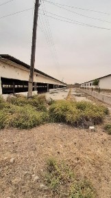 Ташкентская область, Нурафшан (Тойтепа)