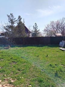 Ташкентская область, Пскент