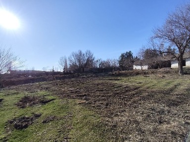 Ташкентская область, Нурафшан (Тойтепа)