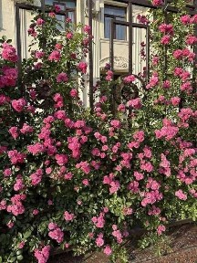 Ташкентская область, Ташкент, Яшнабадский район