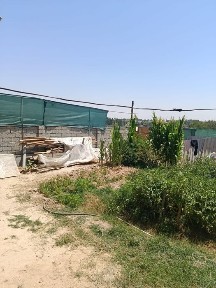 Ташкентская область, Нурафшан (Тойтепа)