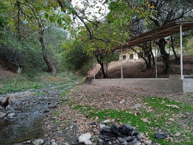 Джизакская область, Заамин