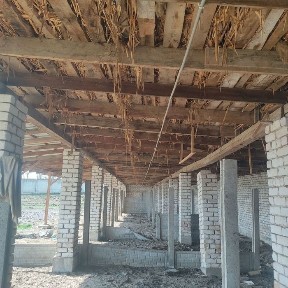 Ташкентская область, Янгиюль