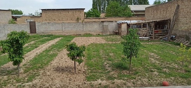 Ташкентская область, Кибрай