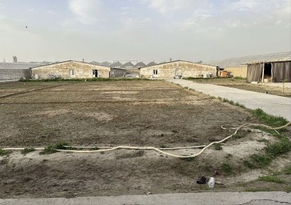 Самаркандская область, Самарканд