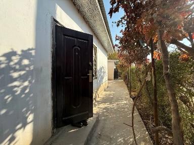 Бухарская область, Бухара