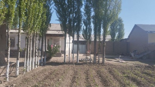 Ташкентская область, Ташкент, Алмазарский район