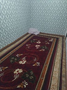 Ташкентская область, Эшангузар