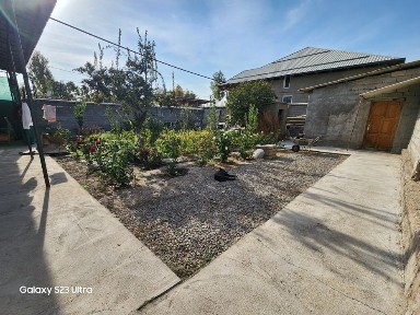 Ташкентская область, Янгибазар