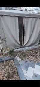 Ташкентская область, Ташкент, Юнусабадский район