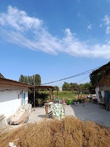 Ташкентская область, Ташморе