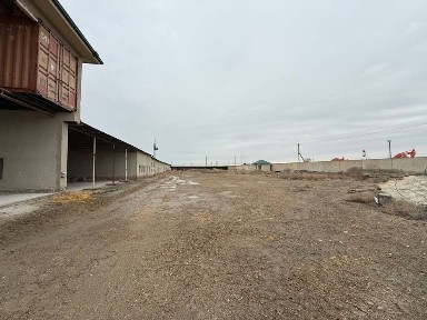 Бухарская область, Бухара