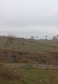 Ташкентская область, Чиназ