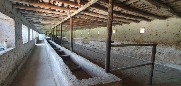 Ташкентская область, Келес