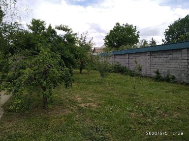 Ташкентская область, Янгибазар