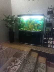 Ташкентская область, Ташкент, Мирзо-Улугбекский район