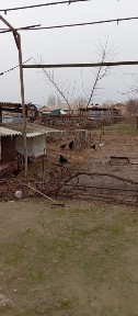 Сырдарьинская область, Гулистан