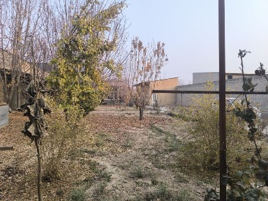 Ташкентская область, Келес