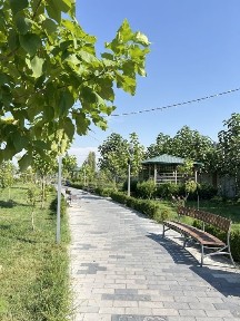 ПРОДАЕТСЯ 7 КОТТЕДЖЕЙ возле метро дустлик 6-3х комнатных и 1-одноком.