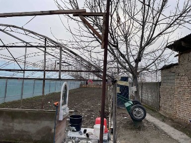 Ташкентская область, Янгиюль