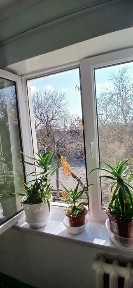 Ташкентская область, Ташкент, Мирзо-Улугбекский район