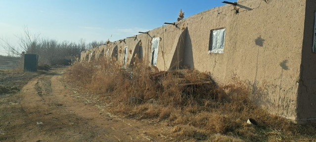 Хорезмская область, Гурлен