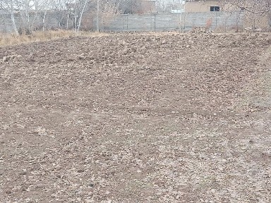 Кашкадарьинская область, Карши