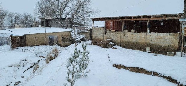 Ташкентская область, Янгиюль