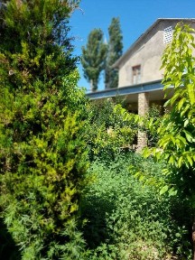 Ташкентская область, Кибрай