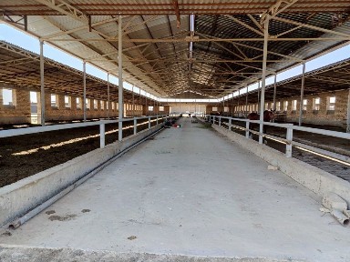 Ферма 3.5 Га город Каттакурган цена 450 000 уе торг есть