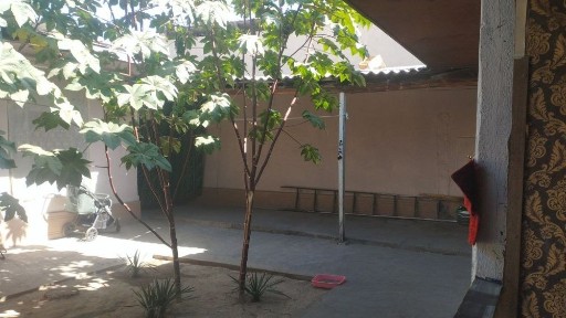 Ташкентская область, Ташкент, Шайхантахурский район